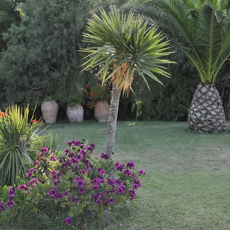 Ammos Naxos Exclusive &