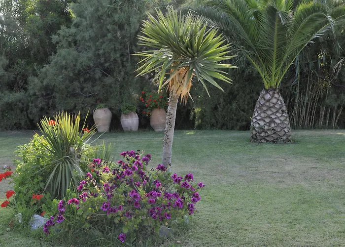 Ammos Naxos Exclusive &