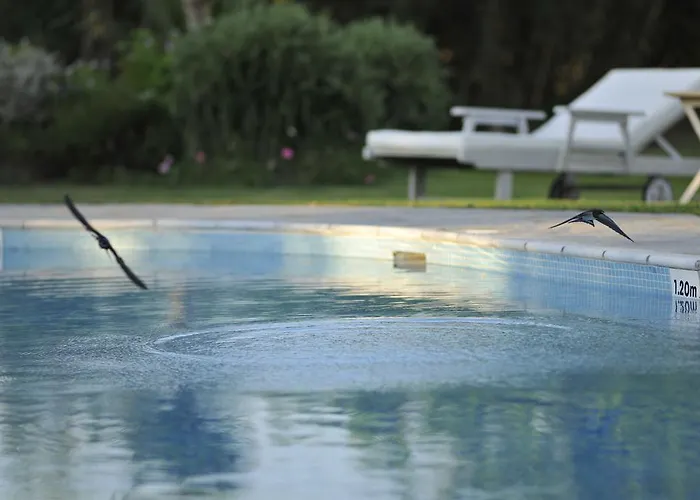 Ammos Naxos Exclusive & 4* Naxos City