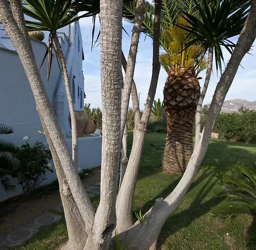 Ammos Naxos Exclusive & 4*